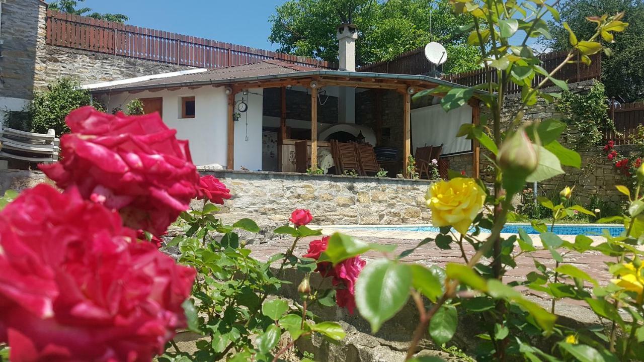 Rosarium Residence Guest House Dryanovo Eksteriør bilde